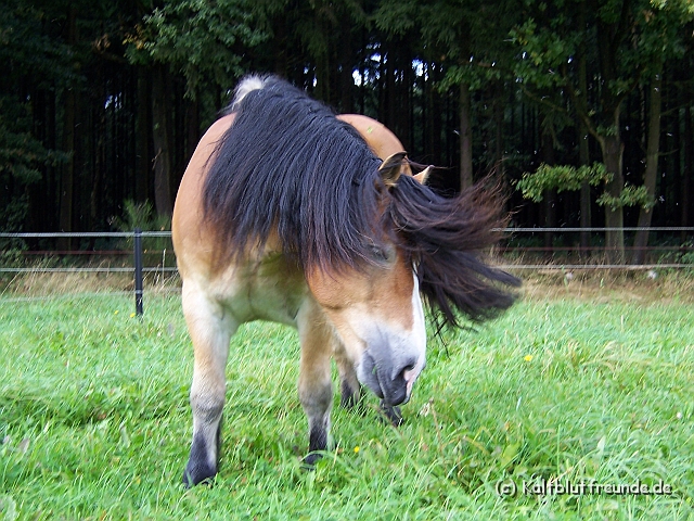 Bild 023.jpg